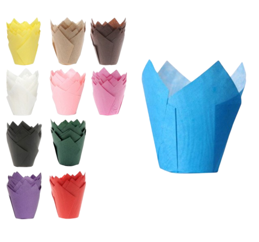 Tulipas Papel Cores Variadas